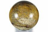 Polished Fossil Coral Sphere - Indonesia #309184-1